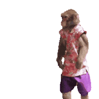 Fun Monkey Sticker