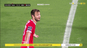 Sl Benfica Shrug GIF by Sport Lisboa e Benfica
