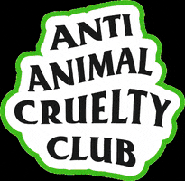 consciouschemistindia animal skincare club cruelty free GIF