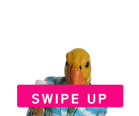 ingo-ohne-flamingo giphyupload swipe up swipe hochwischen Sticker