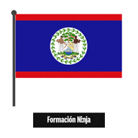 Belize Flag Sticker by Formación Ninja
