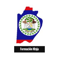 Belize Flag Sticker by Formación Ninja
