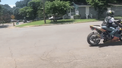 awattsGIFS giphygifmaker caravan census 2020 wfae GIF