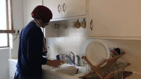 DerekViveiros_SHo giphyupload GIF