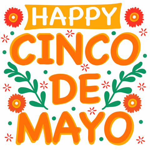 May 5Th Cinco De Mayo GIF by Sonamm