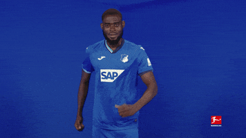 Happy Tsg Hoffenheim GIF by Bundesliga