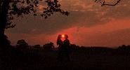 princess bride love GIF