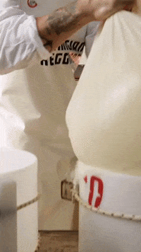 Cheese Consorzio GIF by Parmigiano Reggiano
