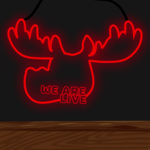 DoYouMoose live neon light web3 GIF
