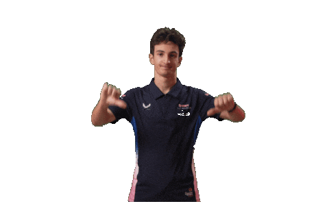 Formula 2 F2 Sticker by Prema Team