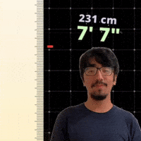 7' 7"