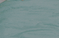 Knock Knock GIF by TWICE