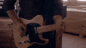 prawn GIF by Topshelf Records