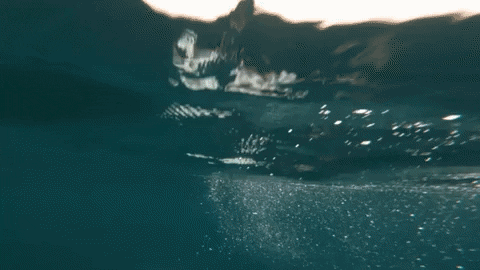 myunghoon_ko93 giphyupload GIF