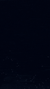 Web Development Day GIF by Avira Digital Studios