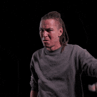 Ceska Republika Cesko GIF by Česká pirátská strana