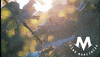 Art Fall GIF by marcincak