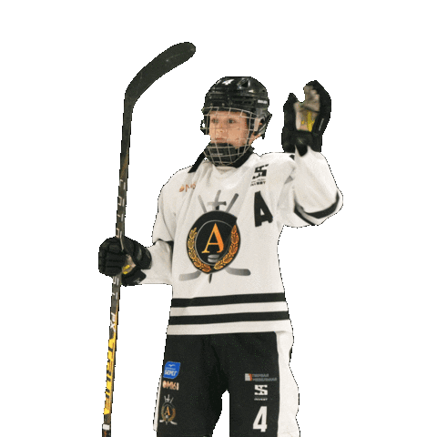 alfahockey giphyupload хоккей хоккеист альфа Sticker