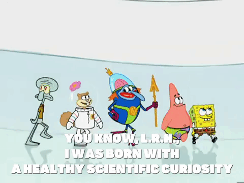 season 5 GIF by SpongeBob SquarePants