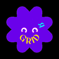 Racing Race Week GIF