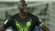 Soccer Bundesliga GIF by VfL Wolfsburg