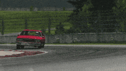 beamng game gaming cars driving GIF