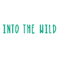 Camping Into The Wild Sticker