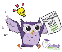 Owl Sapi Sticker by Cursinho Sapiência