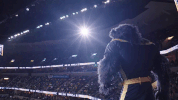 wwe mascot GIF by Memphis Grizzlies 