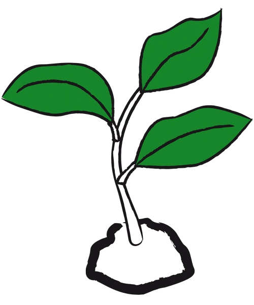 Coffee Plant Sticker by Tchibo