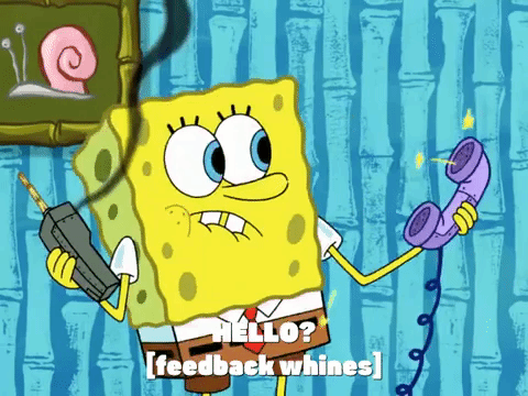 season 8 GIF by SpongeBob SquarePants