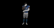 Football Smh GIF by Detroit Lions
