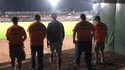 kccougars kccougars GIF