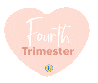 Bubzi baby pregnant pregnancy birth Sticker