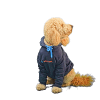 PetsBest dog puppy pet doodle Sticker