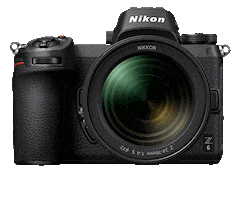 Nikoninstabadge Z6 Sticker by NikonIndia