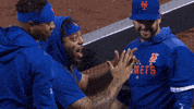 Celebrate Marcus Stroman GIF by SNY