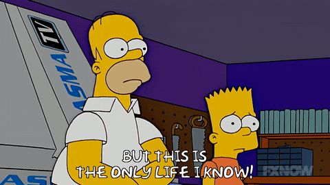 Episode 1 GIF by The Simpsons