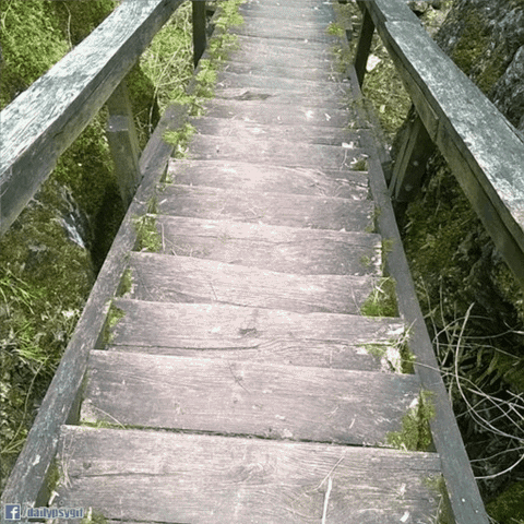 balazsvarga trippy psychedelic space trip GIF