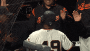 Major League Baseball Sport GIF by MLB
