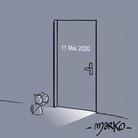 Cat GIF by marko