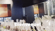 French Pastry Canada GIF by Casol