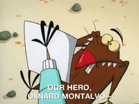 nickrewind nicksplat angry beavers GIF