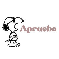 Chile Apruebo Sticker
