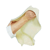 pasta dough Sticker by Molino Pasini