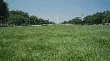 Washington Dc GIF by BabylonBee