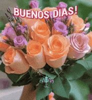 Amigos Buenos Dias GIF by Murcianys LLC
