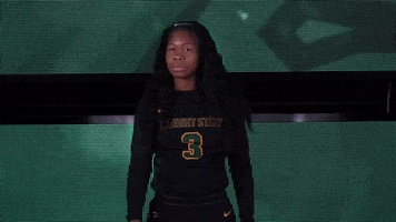 Ncaa Sports Sport GIF by Wright State University Athletics