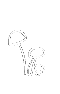Mushrooms Champignons Sticker
