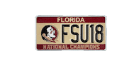 gold graduation Sticker by Florida State University